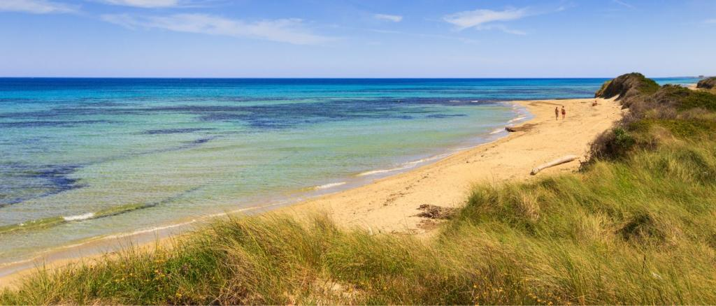 A wild Puglian beach with turquoise water and dunes near Brindisi